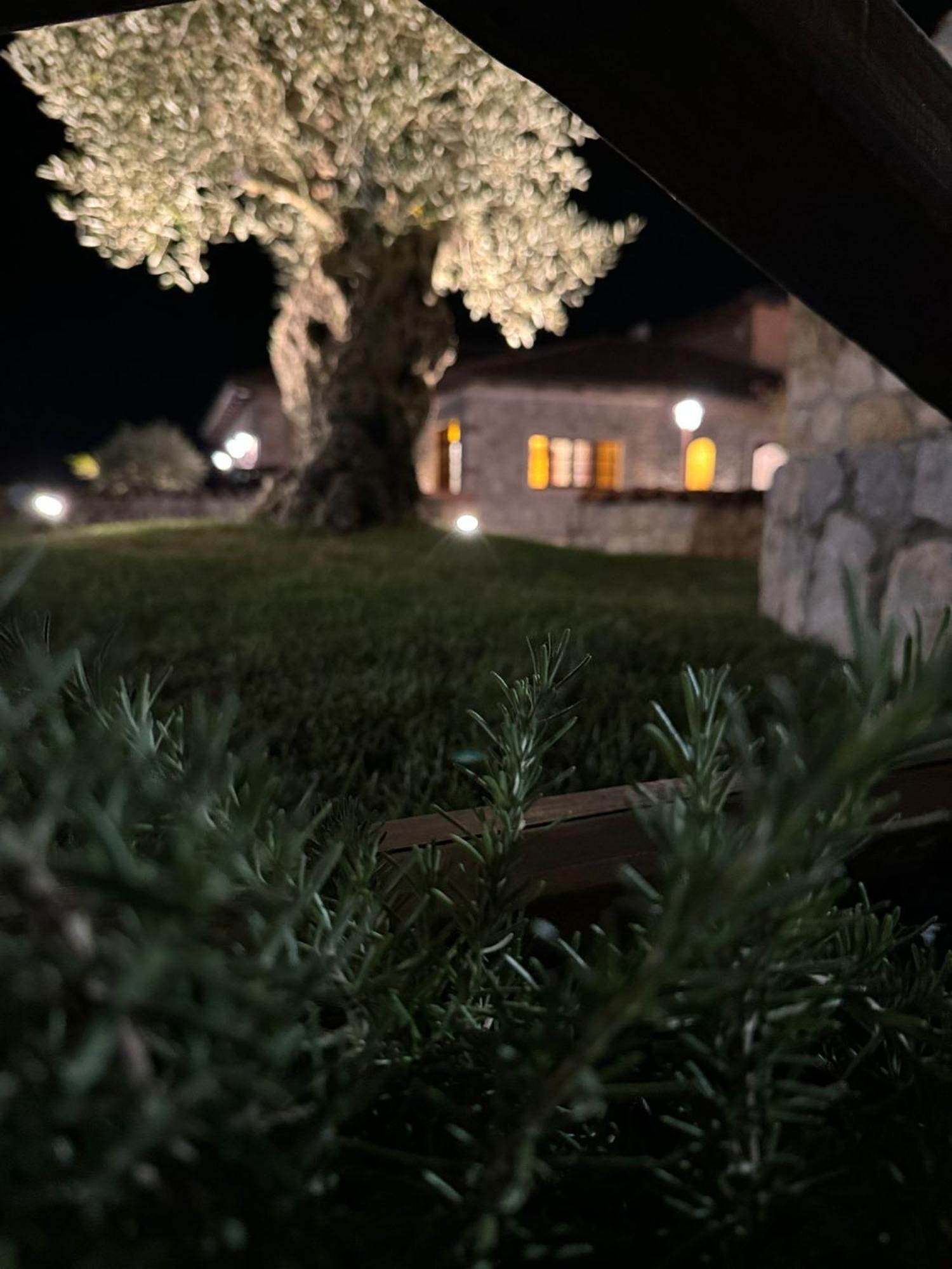 Tenuta Rosa - Gastronomia E Relax Montesano Scalo Esterno foto